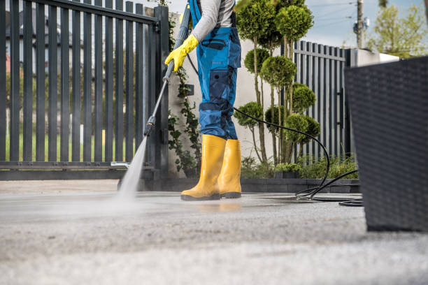 Best Driveway Pressure Washing  in Poulsbo, WA